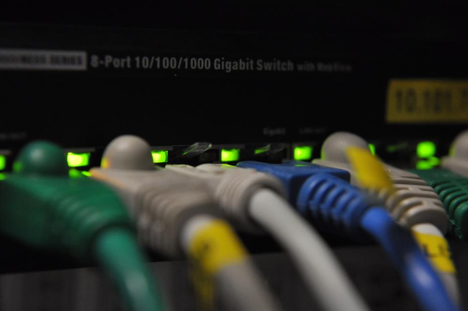 Eingesteckte Netzwerkkabel 