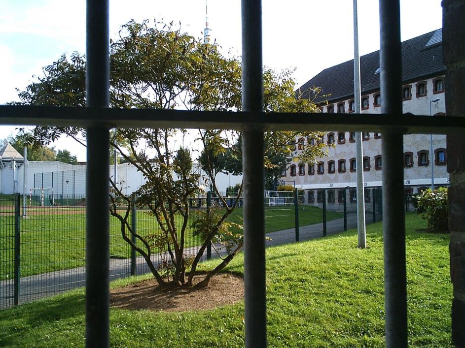 JVA Bochum Baum durch Gitter fotografiert