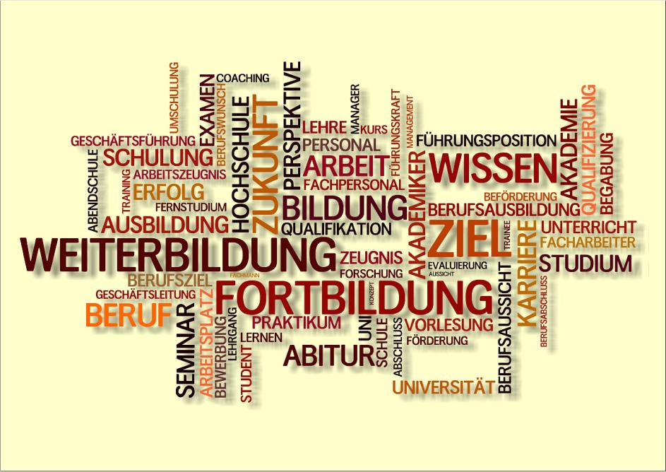 Grafik zur Fortbildung